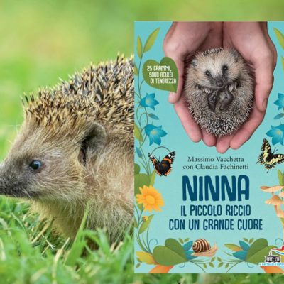 Arriva ‘Aspettando Leggenda’: primo evento giovedì 8 aprile con un libro dedicato ai ricci