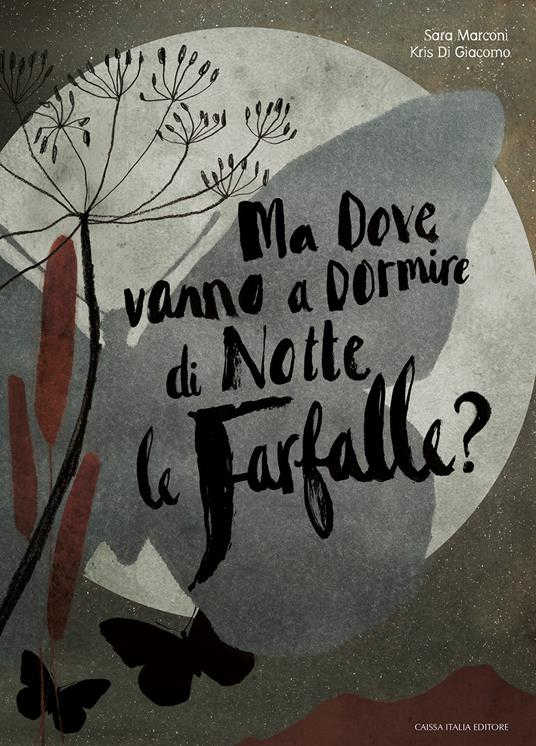 Copertina-Libro-MaDoveVannoADormireDiNotteLeFarfalle