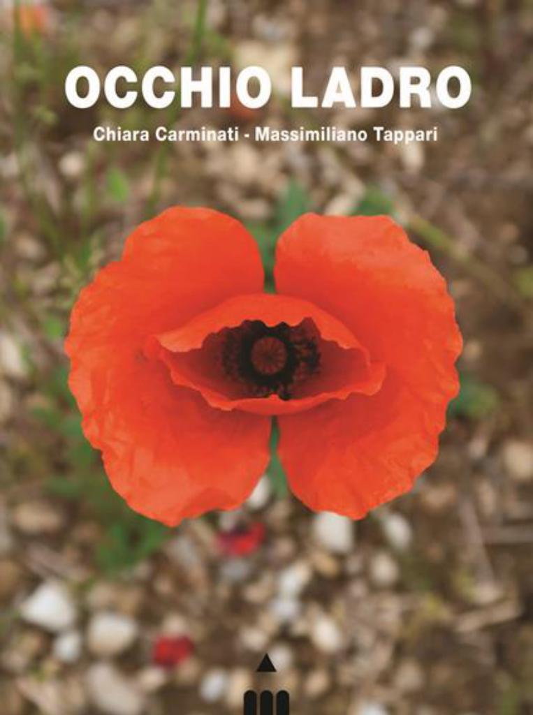 copertina occhio ladro